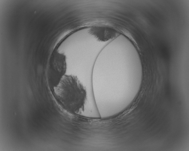 X0000067481087200604211627