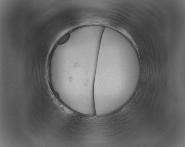 X0000067481088200604211627