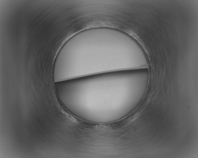 X0000067481089200604211627