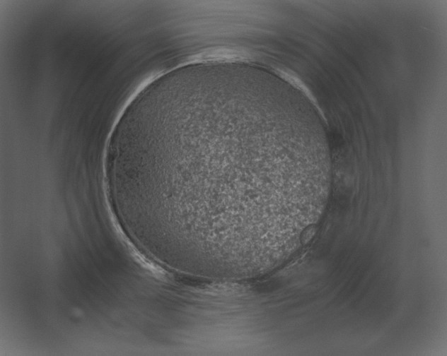 X0000067481091200604211627