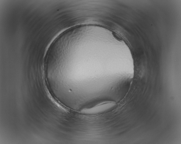 X0000067481092200604211627