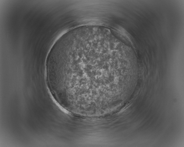 X0000067481095200604211626