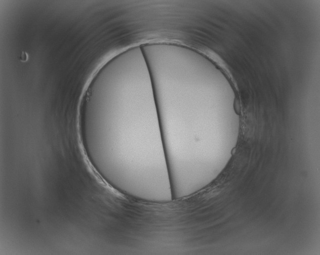 X0000067481096200604211626