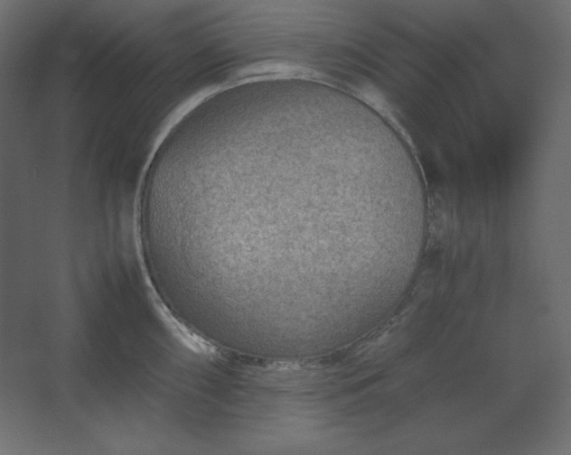 X0000067481098200604211626