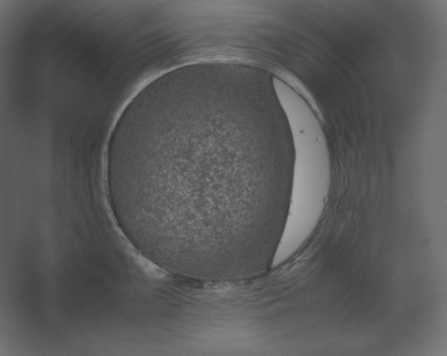 X0000067481099200604211626