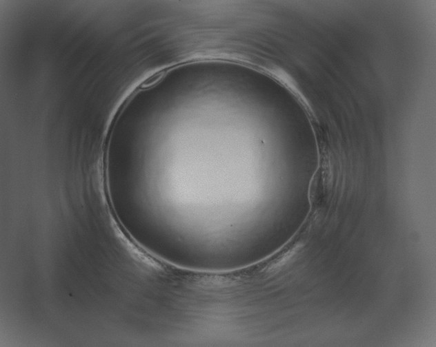 X0000067481100200604211626