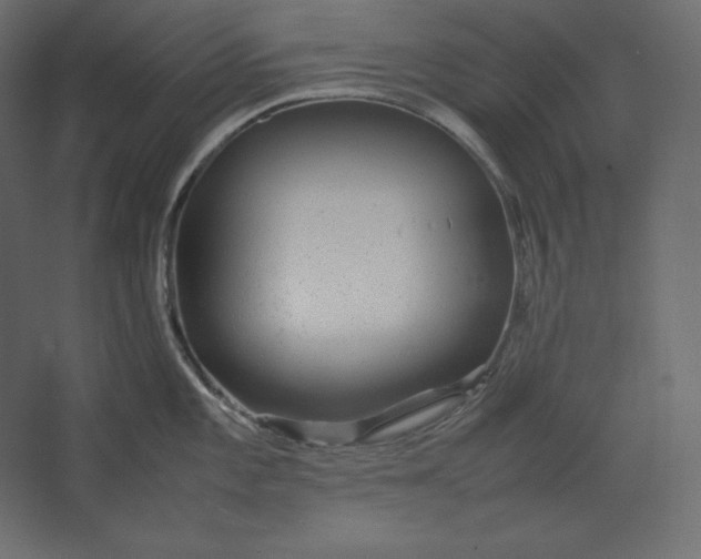 X0000067481101200604211626