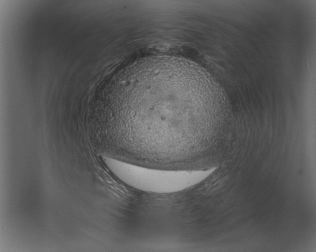 X0000067481105200604211625