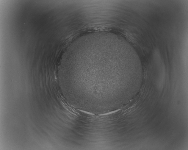 X0000067481106200604211626