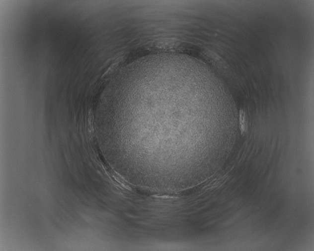 X0000067481107200604211626