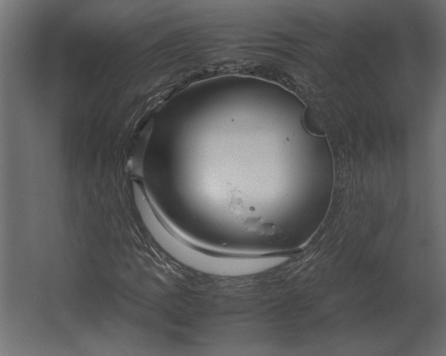 X0000067481109200604211626