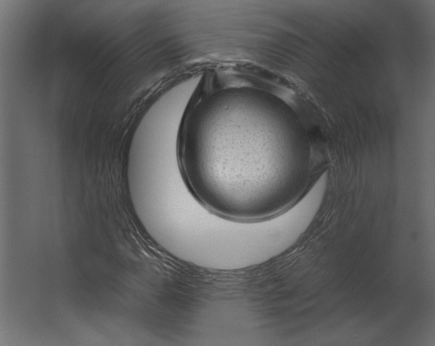 X0000067481110200604211626