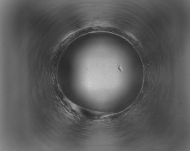 X0000067481112200604211626