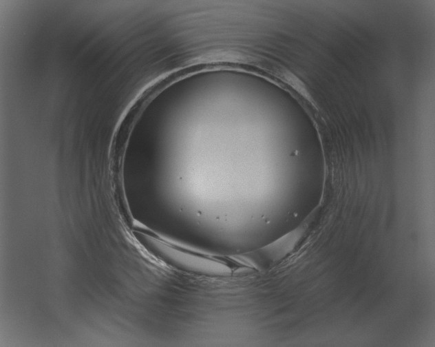 X0000067481116200604211626