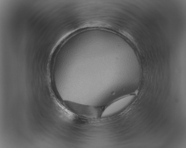 X0000067481120200604211626