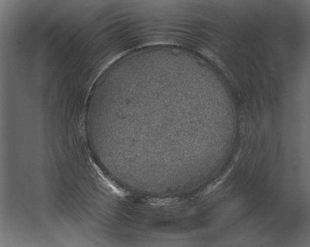 X0000067481121200604211626