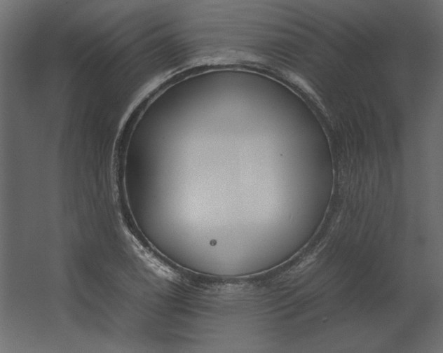 X0000067481122200604211626