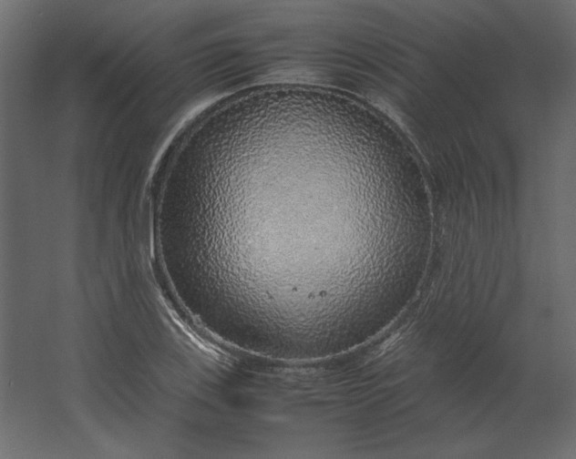 X0000067481123200604211626