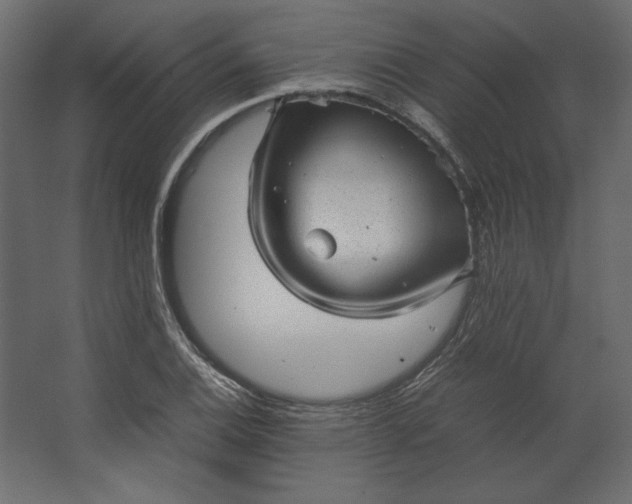 X0000067481124200604211626