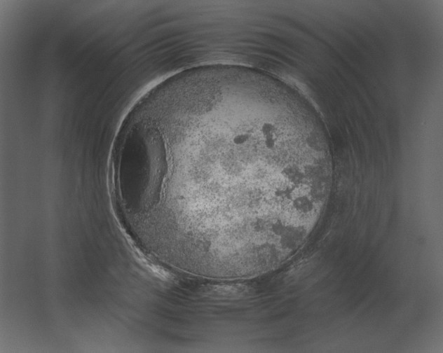 X0000067481125200604211626