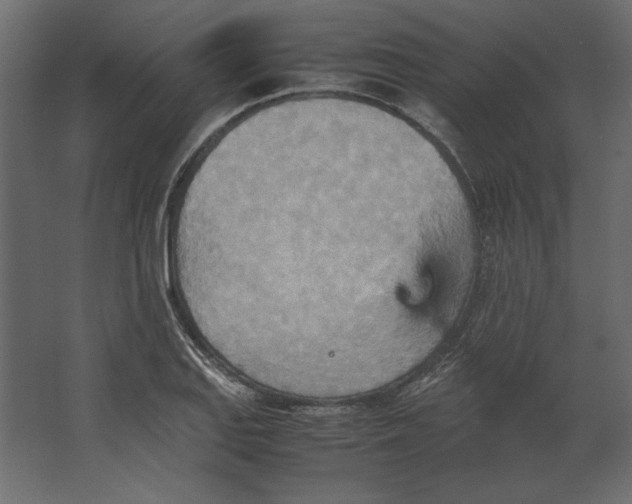 X0000067481127200604211626