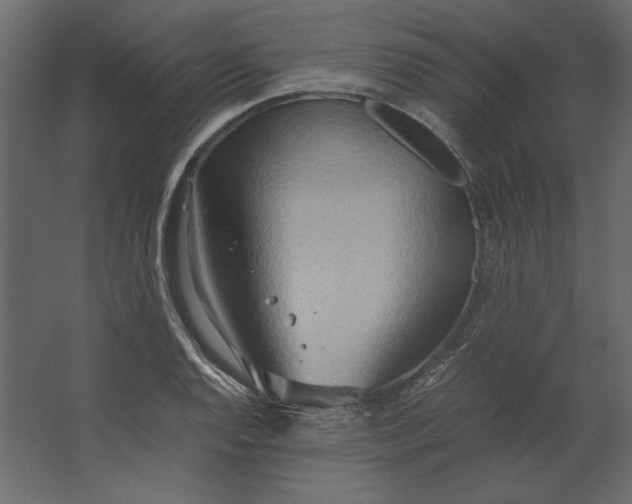 X0000067481128200604211626