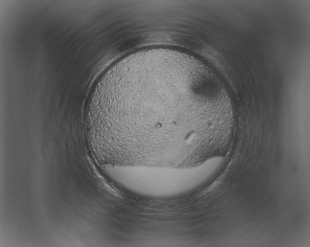 X0000067481129200604211626