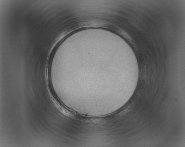 X0000067481130200604211626