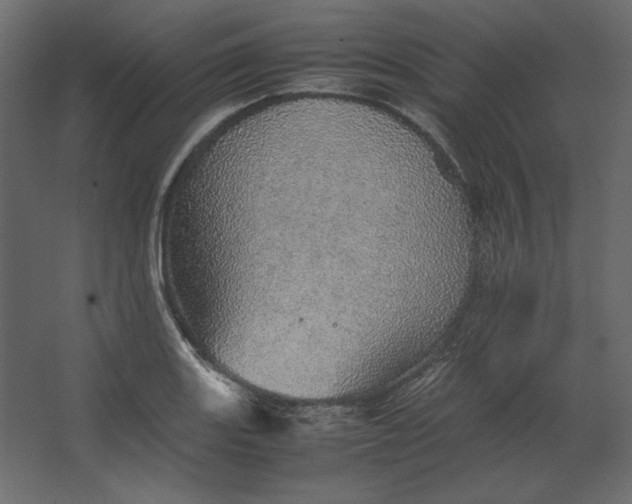 X0000067481131200604211626