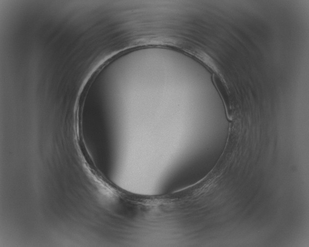 X0000067481132200604211626