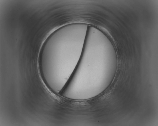 X0000067481133200604211626