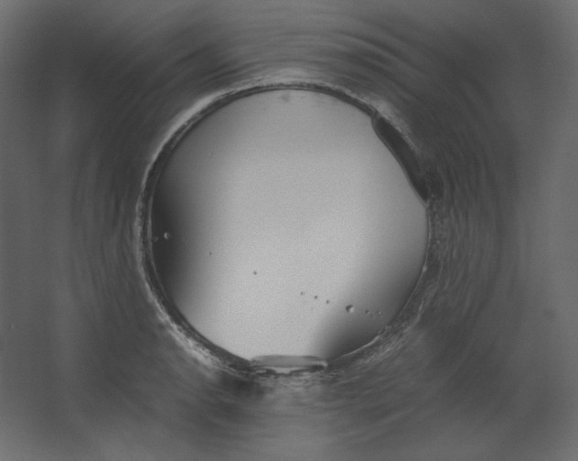 X0000067481134200604211626