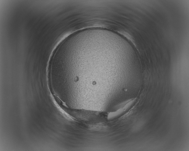 X0000067481135200604211626