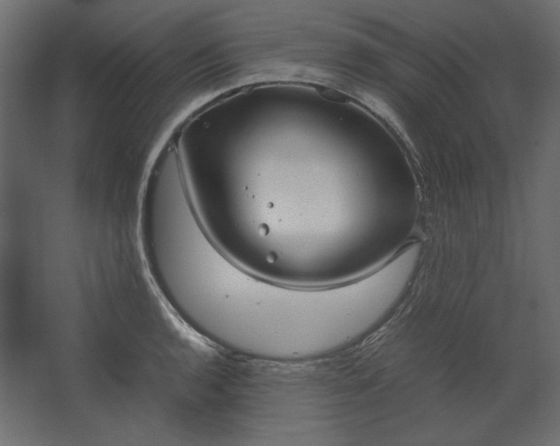 X0000067481136200604211626