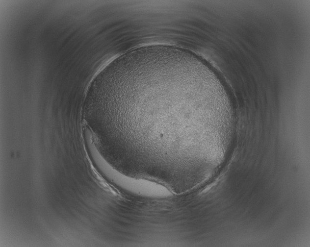 X0000067481137200604211626