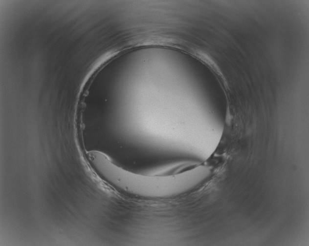 X0000067481138200604211626