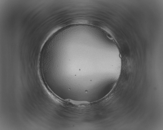 X0000067481139200604211626