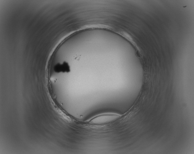 X0000067481140200604211626