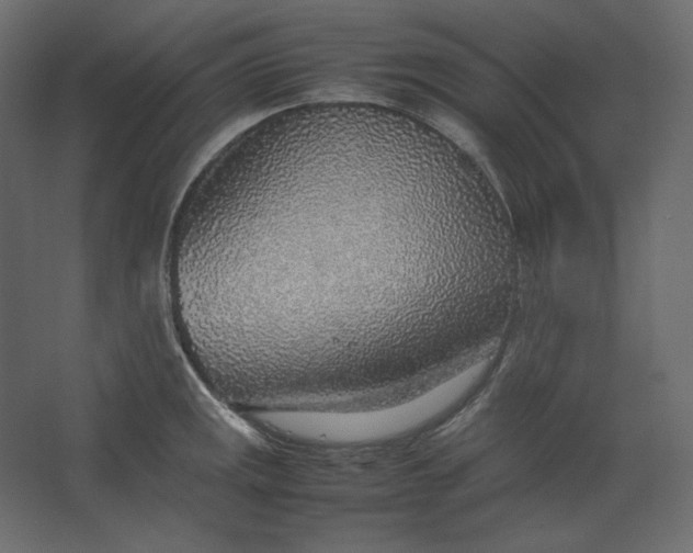 X0000067481141200604211626