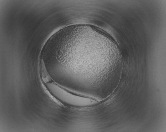 X0000067481142200604211626