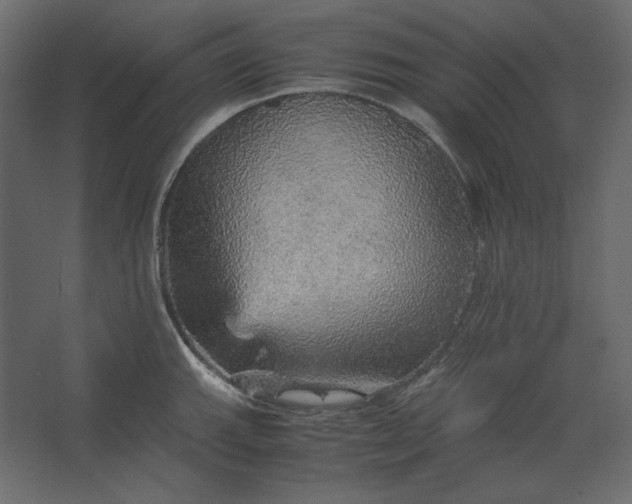 X0000067481143200604211626