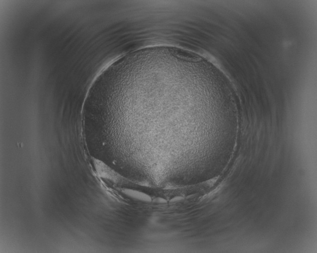 X0000067481145200604211626