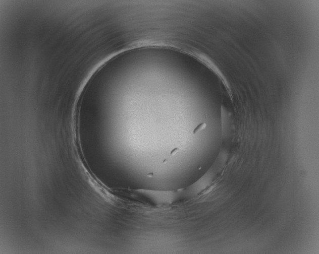 X0000067481148200604211626