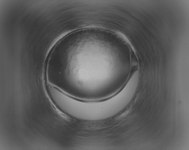 X0000067481149200604211626