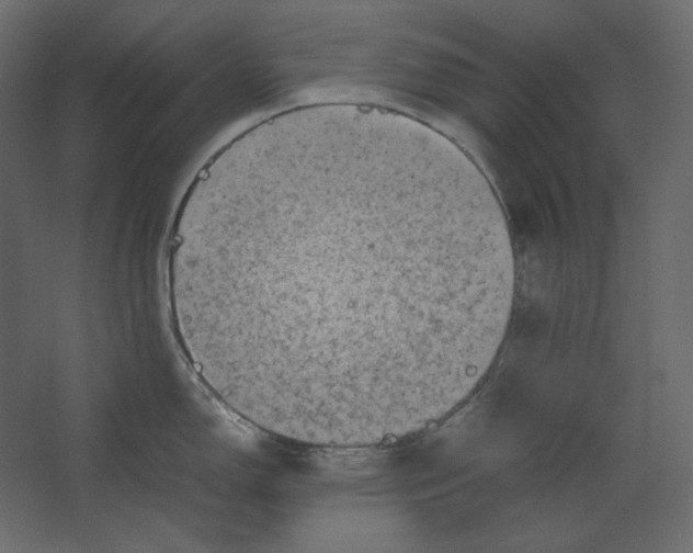 X0000067481150200604211626