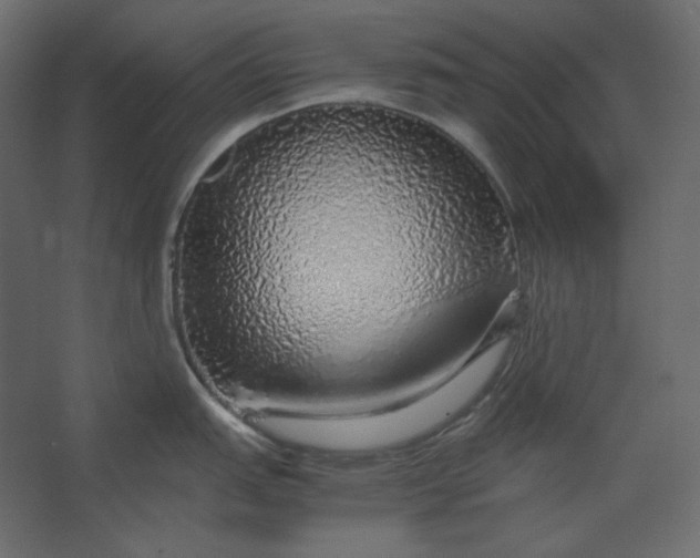 X0000067481151200604211626