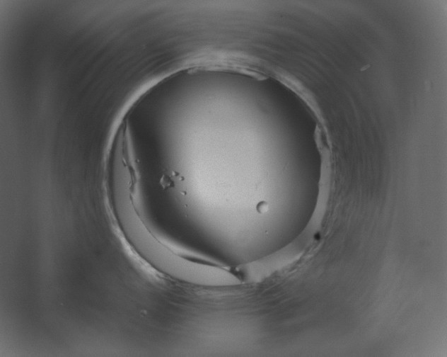 X0000067481152200604211626