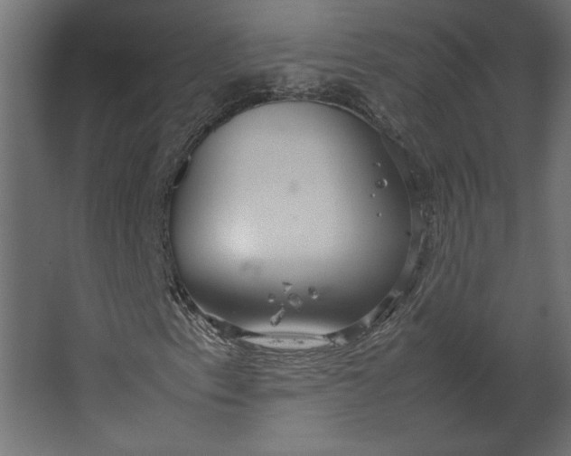 X0000067481153200604211625