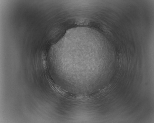 X0000067481154200604211625