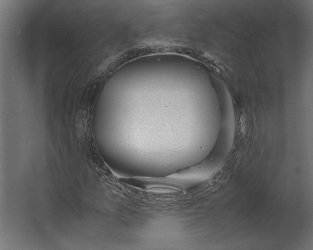 X0000067481157200604211625